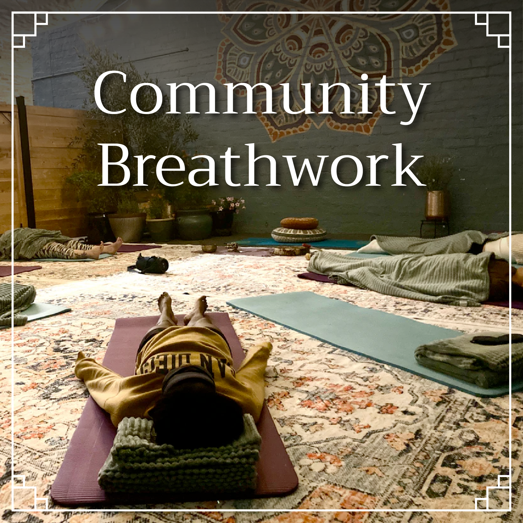 Wednesdays at 4pm: Community Breathwork