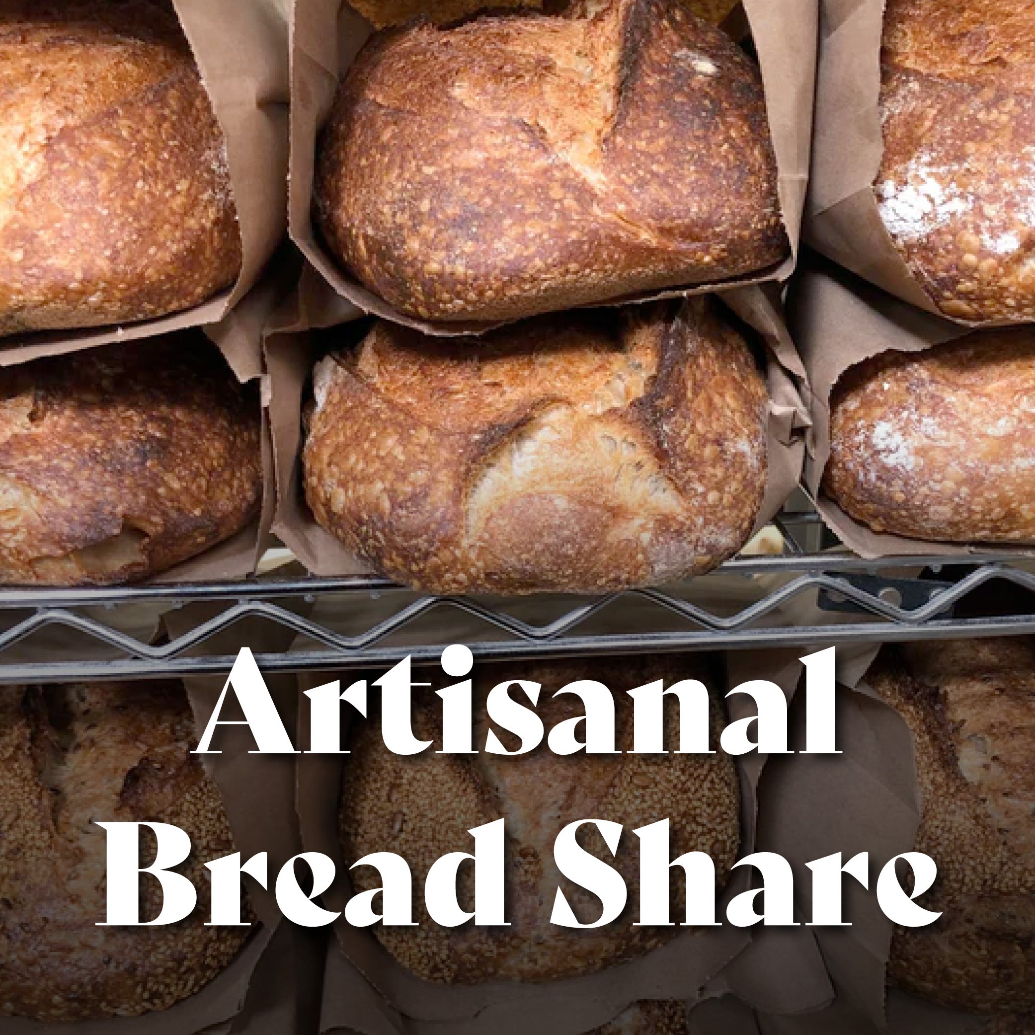 Wednesdays at 5pm: Artisanal Bread Share